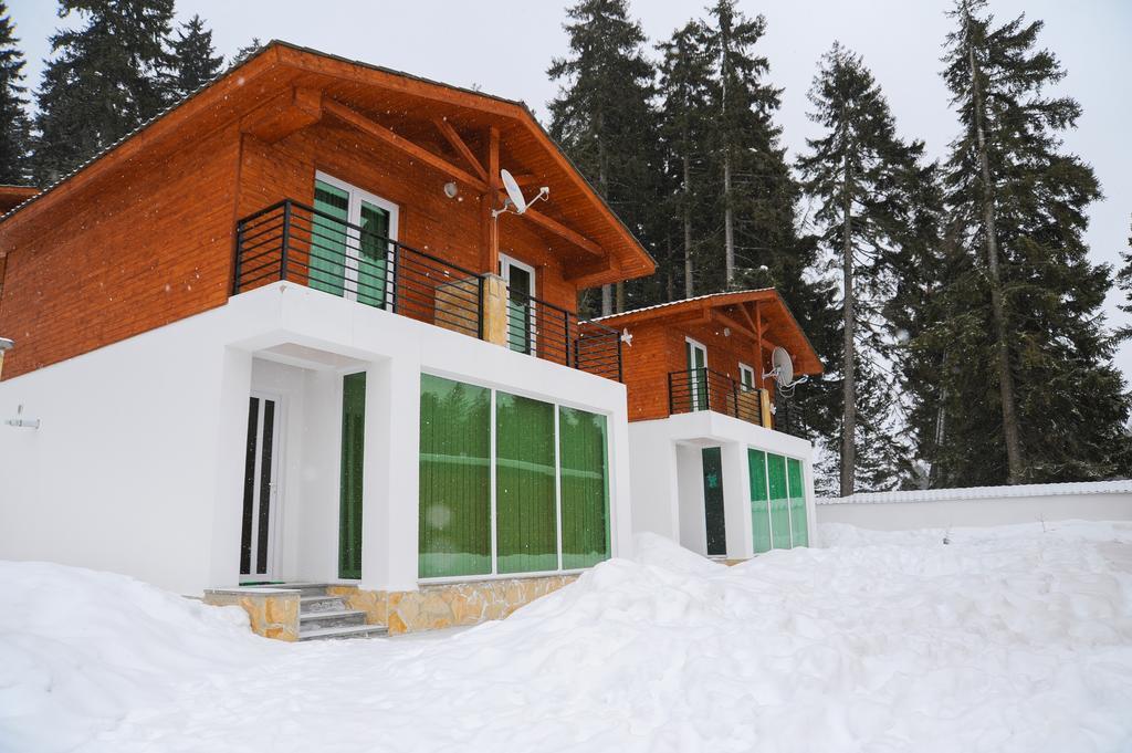 Chalet Kokhta Hotel Bakuriani Exterior photo